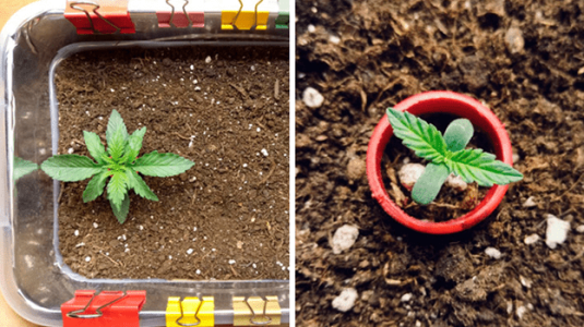 1597586912427.png 1597586912427.png