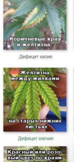 IMG_6879.png