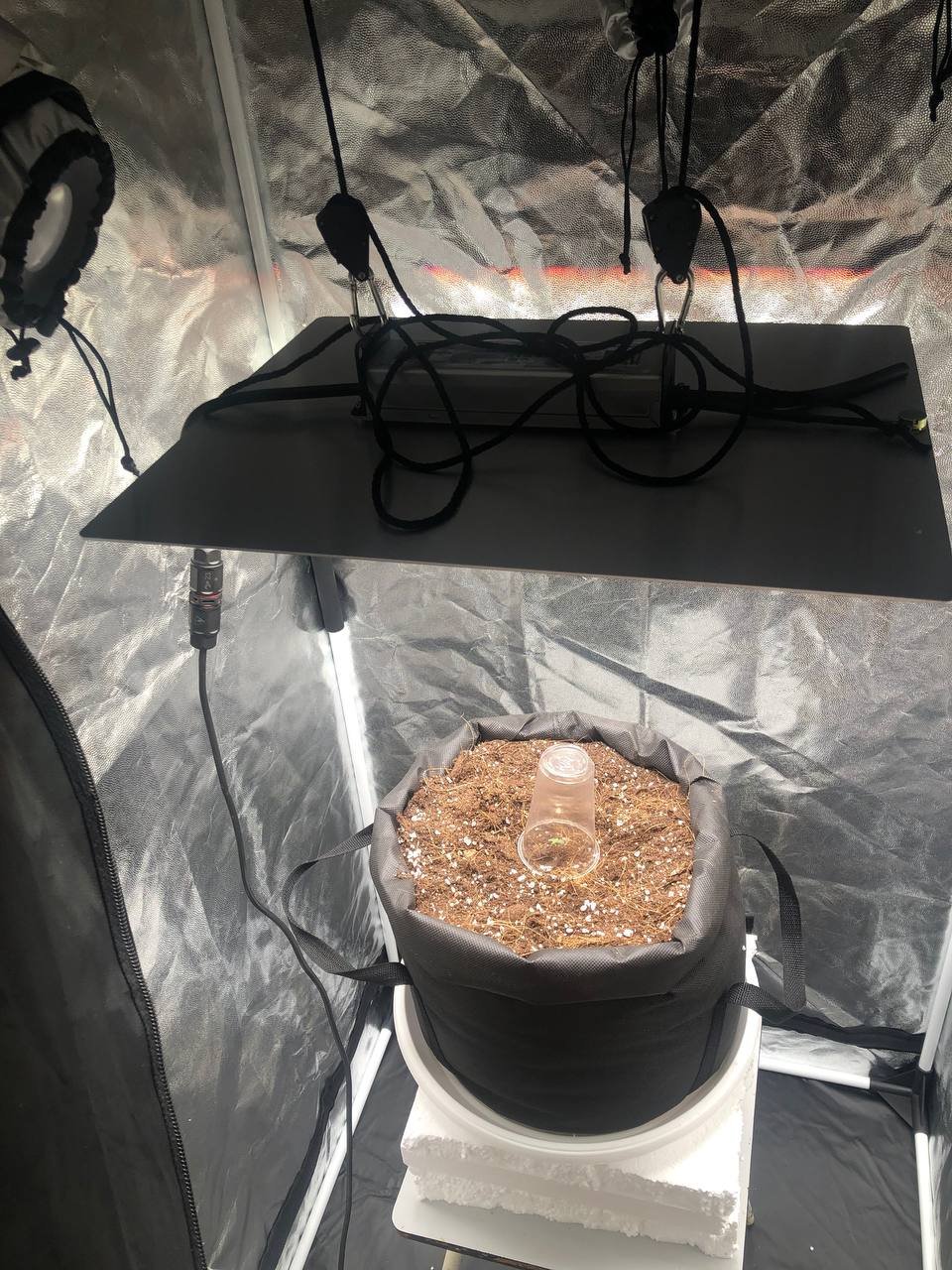 4ea8d721-f89d-40a3-90de-cdc78f713db3.jpg 4ea8d721-f89d-40a3-90de-cdc78f713db3.jpg