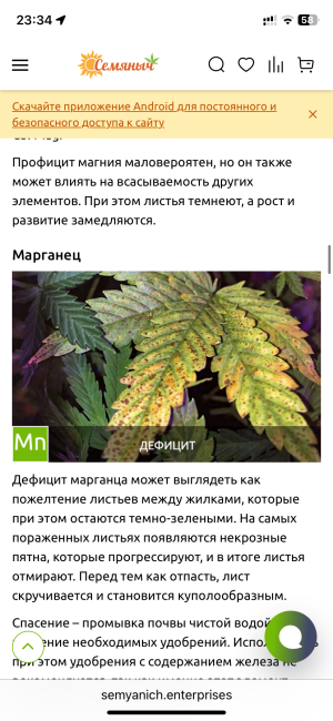 IMG_7849.png