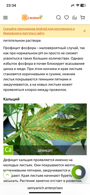 IMG_7848.png