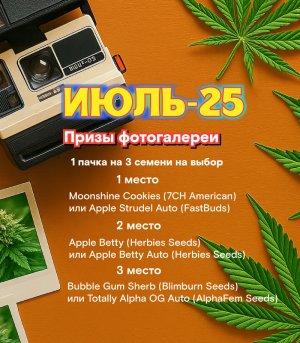июль-призы.jpg