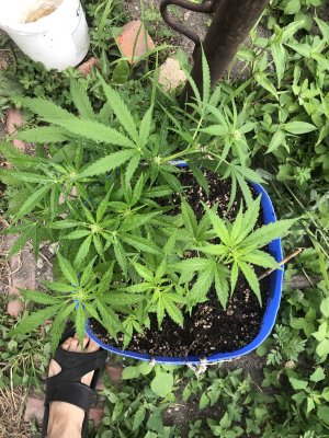 IMG_3909.jpeg