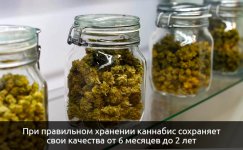 sohranyaet-svoi-kachestva-ot-6-mesyacev-do-2-let__nVi55ge6Rsc2MR5g.jpg