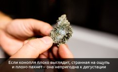 Izmeneniya-vo-vneshnem-vide__spRIt8cgft1wGmjN.jpg