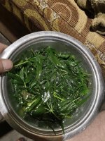 IMG_0170.jpeg IMG_0170.jpeg