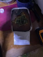 IMG_0214.jpeg IMG_0214.jpeg