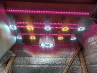 Изображение WhatsApp 2025-08-25 в 18.59.00_a29e8fce.jpg