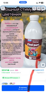 IMG_8904.jpeg