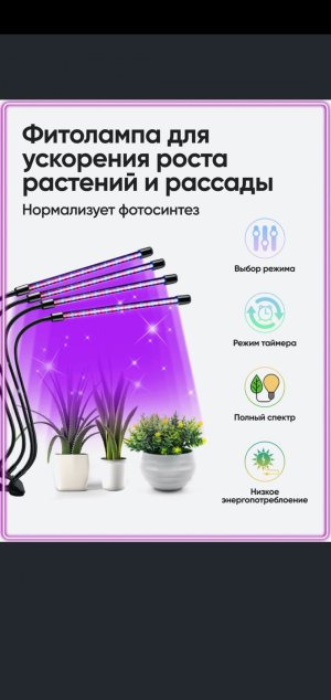 Screenshot_20220507-183152_OZON.jpg Screenshot_20220507-183152_OZON.jpg