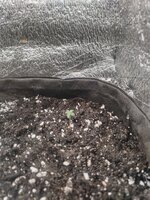 IMG_20251027_122058.jpg IMG_20251027_122058.jpg