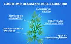 Simptomy-nekhvatki-sveta__4t27pCYEjaL9VHQ2.jpg