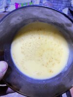 IMG_1689.jpeg