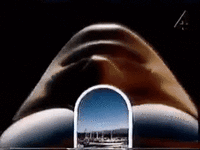 1618399554122160738.gif