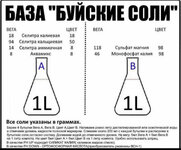 IMG_2051.jpeg