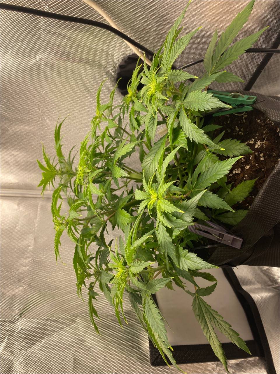 47 горизонт.jpg