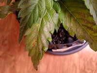 20260106_173511.jpg