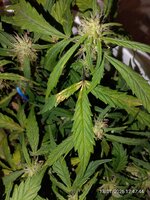 IMG_20260113_124744.jpg