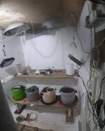 20260119_063842.jpg