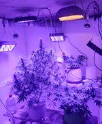 20260123_073530.jpg