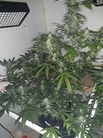20260208_071506.jpg