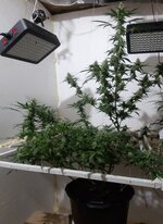 20260209_062537.jpg
