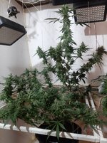 20260210_063426.jpg