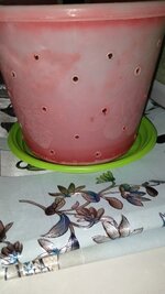 IMG_20260306_001055_837.jpg