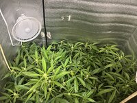 1 — копия.jpg 1 — копия.jpg