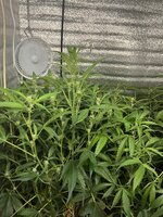 3 — копия.jpg 3 — копия.jpg