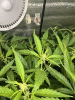 5 — копия.jpg 5 — копия.jpg