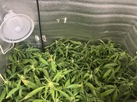 1.1 — копия.jpg 1.1 — копия.jpg