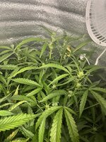 4 — копия.jpg 4 — копия.jpg