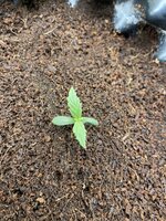 IMG_3400.jpeg