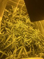 1 — копия.jpg 1 — копия.jpg