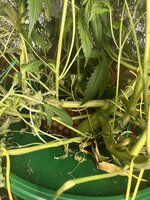 3 — копия.jpg 3 — копия.jpg