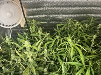 6 — копия.jpg 6 — копия.jpg