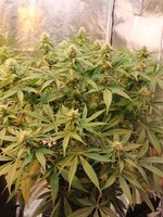 2026-03-22 225211 (1).jpg