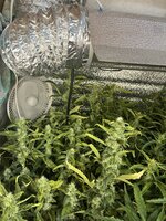 2 — копия.jpg 2 — копия.jpg