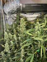 2 — копия.jpg