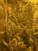 4 — копия — копия.jpg