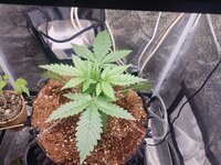 Первый раз в первый класс