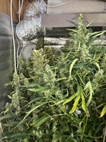 10 — копия.jpg