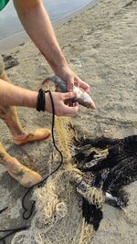 crop_2632315565724521254.jpg crop_2632315565724521254.jpg