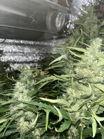 8 — копия.jpg