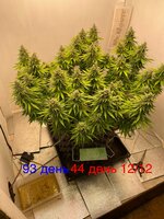 Большой синий Папка  5.0