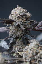 Снимок экрана 2026-04-13 110636.png