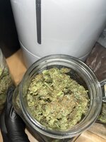 2 — копия.JPG