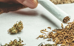 Smeshivanie-tabaka-i-kannabisa__4ziBnRbKb19BCNUO.jpg