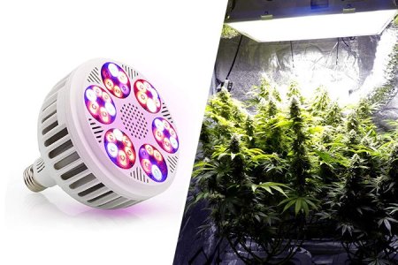 Оборудование для гроубокса